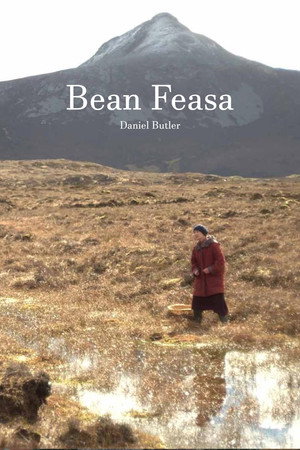 Bean Feasa 2