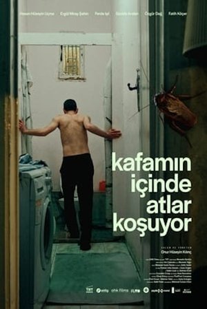 Image Kafamın İçinde Atlar Koşuyor