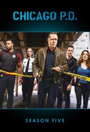 Chicago P.D.: 5×22