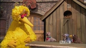 Sesame Street The Good Birds Club