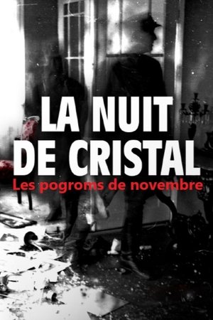 La Nuit de cristal : Les pogroms de novembre