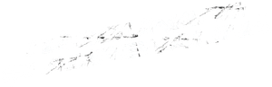Crank: Veneno en la sangre — Logos 8