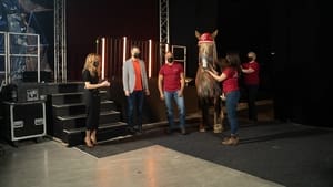 La semaine des 4 Julie: 2×100