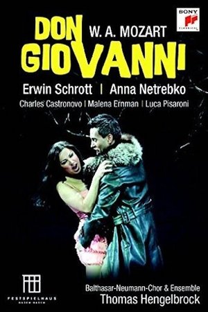 Poster Mozart Don Giovanni 2013