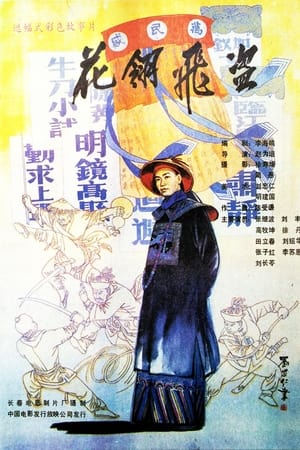 Poster 花翎飞盗 (1989)