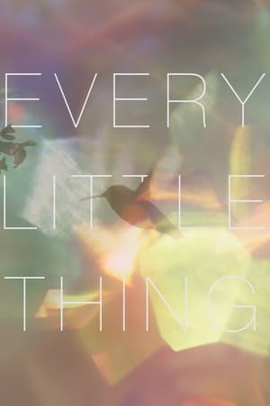 Poster Every Little Thing (2024)