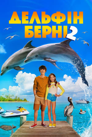 Poster Дельфін Берні 2 2019