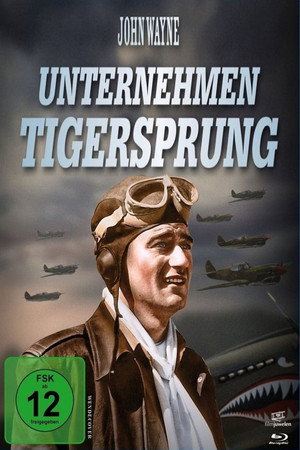 Flying Tigers 12