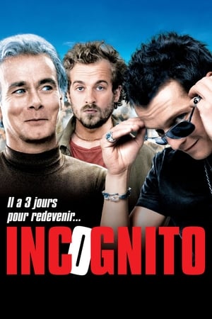 Incognito poster