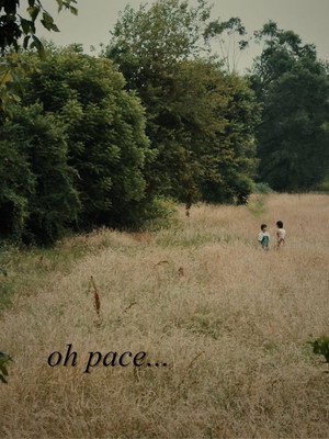 oh peace... 4