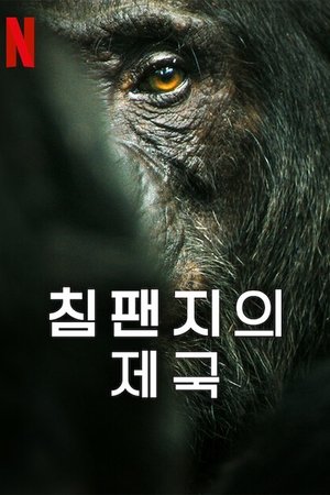 Image 침팬지의 제국
