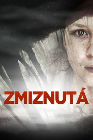 Zmiznutá (2017)