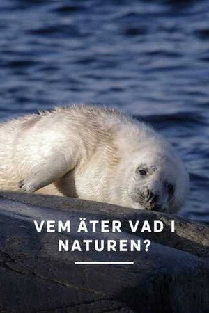 Vem &auml;ter vad i naturen?