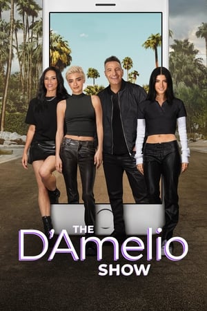 Image The D'Amelio Show