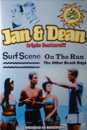 Poster Jan & Dean: On the Run 1966