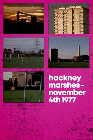 Poster Hackney Marshes – November 4th 1977 1977