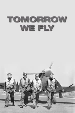 Image Tomorrow We Fly