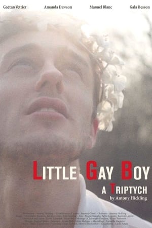 Poster Little Gay Boy (2013)