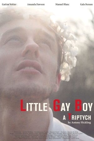Poster Little Gay Boy 2013