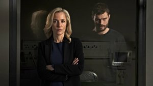 The Fall TV Series | Where to watch?