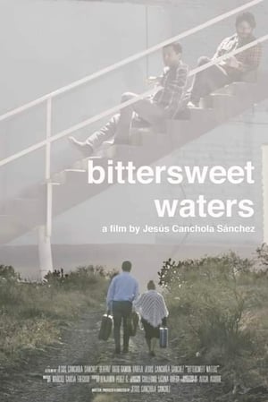 Poster Bittersweet Waters (2019)