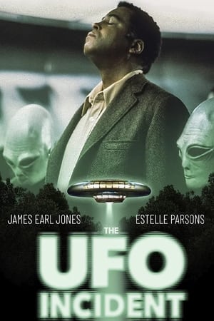 Image The UFO Incident