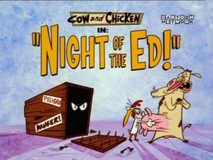 Image Night of the Ed