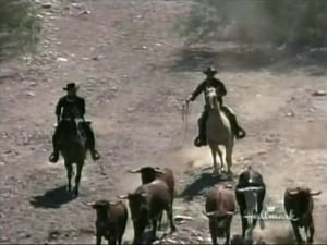 The High Chaparral Shadows on the Land