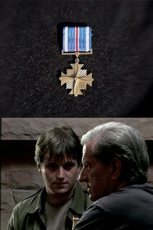 Nonton film Distinguished Flying Cross (2011) terbaru sub indo Nonton film Distinguished Flying Cross (2011) terbaru sub indo
