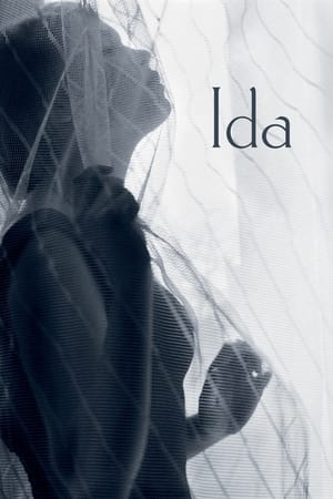 Poster Ida 2013