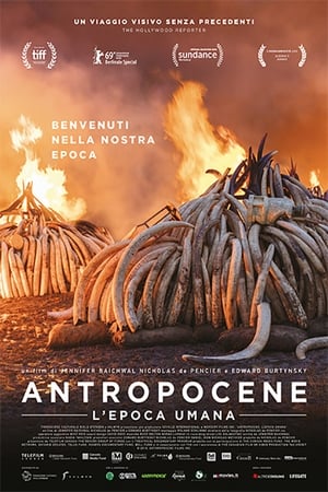 Antropocene - L'epoca umana