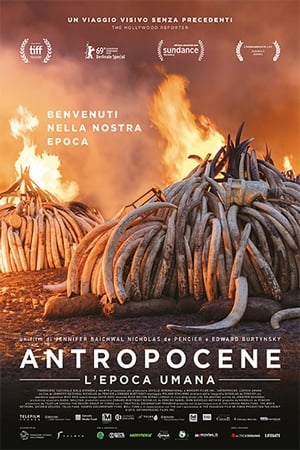 Image Antropocene - L'epoca umana