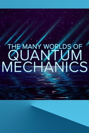 Poster The Many Worlds of Quantum Mechanics ()