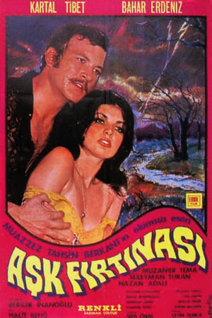 Poster Aşk Fırtınası (1972)