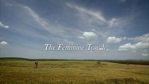 Grand Tours of Scotland The Feminine Touch