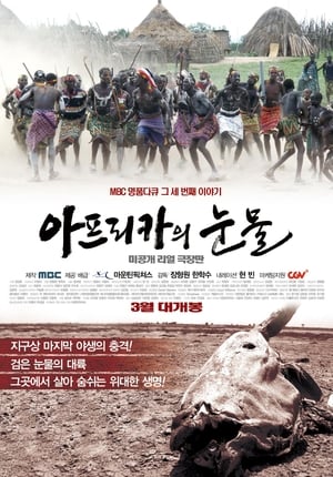 Poster 아프리카의 눈물 2011