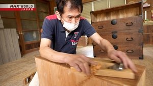 Journeys in Japan: 13×21