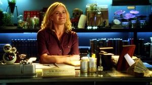 CSI: Crime Scene Investigation: 12×14