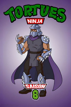 Les Tortues Ninja - Saison 8 - poster n°3