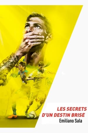 Poster Emiliano Sala, les secrets d'un destin brisé 2019