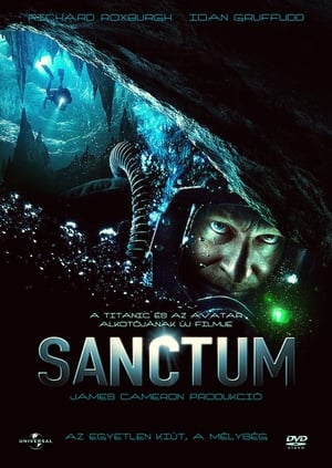 Poster Sanctum 2011