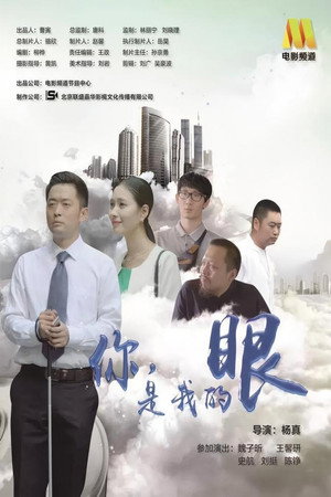 我是你的眼2016封面图
