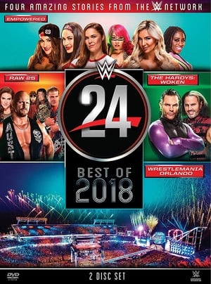 Poster WWE 24: The Best of 2018 (2018)