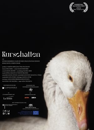 Kurschatten 2
