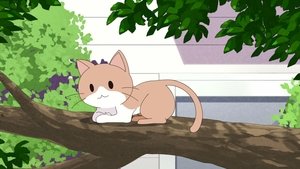 BanG Dream! Girls Band Party!☆PICO: 3×18