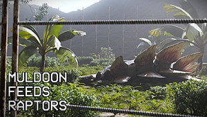 Muldoon Feeds Raptors | StreamHub