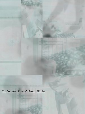 Póster oficial de la película Life on the Other Side