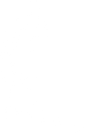 Fiel — Logos 2