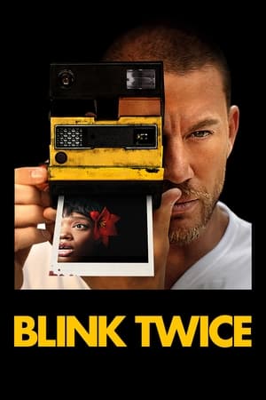 Poster Blink Twice 2024