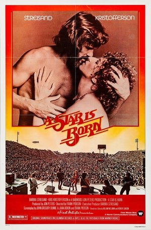 A Star Is Born (1976)
